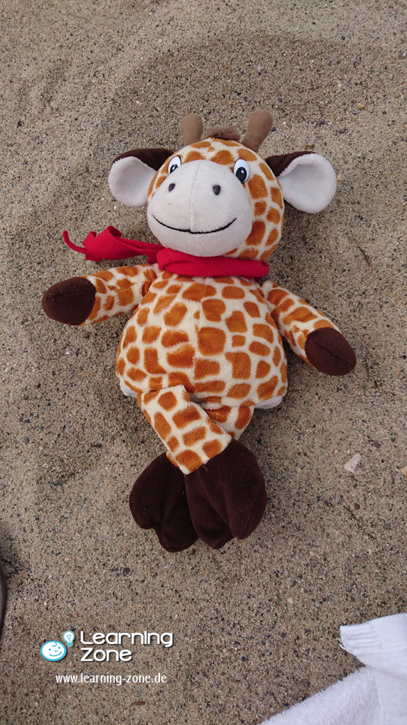 >
                        </div>
                    </div>
           
                    <div class=